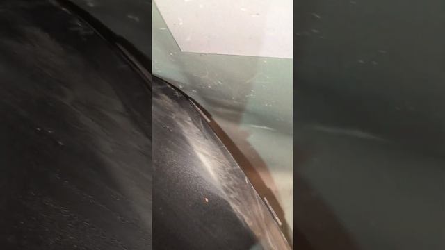 Драйв на русском