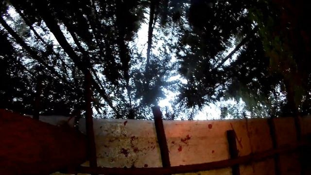 Ураган в лесу 2018 08 25 смотреть онлайн