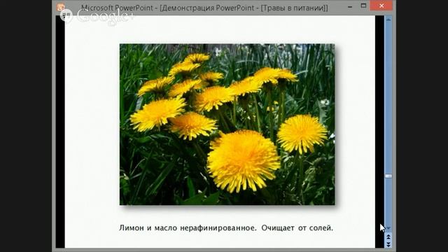 VIP-встреча №3. Татьяна Максимова Конференция Здоровье смотреть онлайн
