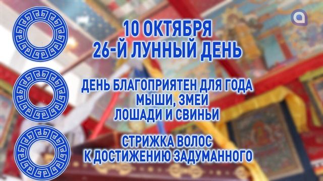 Достижение задуманного: зурхай на 10 октября смотреть онлайн