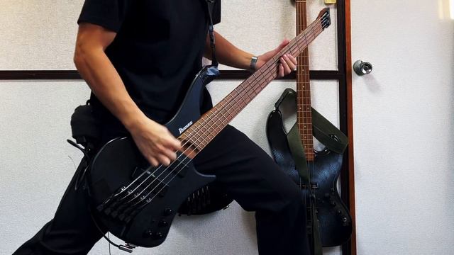 Hatebreed - Perseverance || Bass Cover смотреть онлайн
