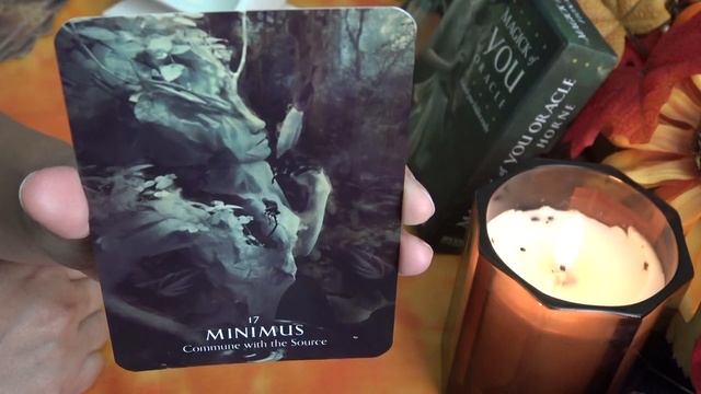 Magick of YOU Oracle - Flip Through of Each Card смотреть онлайн