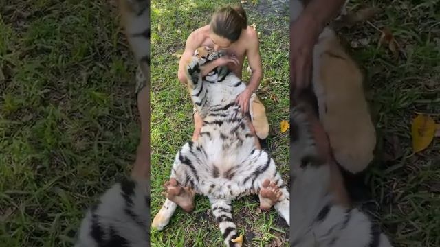 йулбарс смотреть онлайн