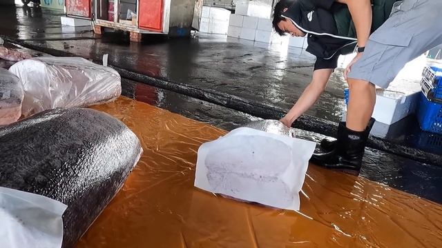 The fastest and smoothest swordfish cutting skills смотреть онлайн