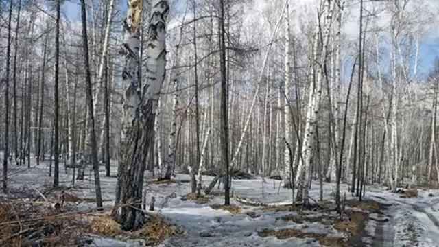Как определить, в какой сфере реализовываться. Стихии 10-го дома смотреть онлайн