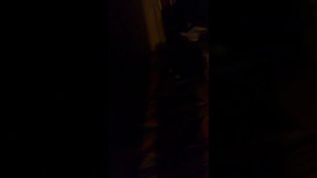 как мая кошка ат меня убегает ета магия а ета другая часть моей квартиры серия 2 смотреть онлайн