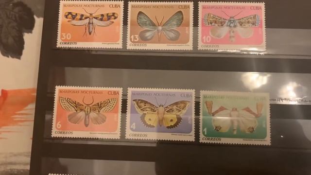 Насекомые/птицы/бабочки новые смотреть онлайн