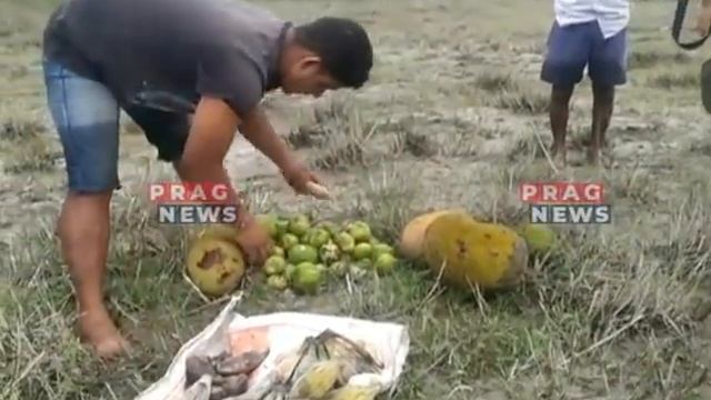 WATCH: Terrifying videos of the destructive Assam floods!!! смотреть онлайн