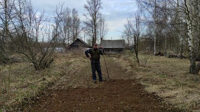 Пчеловодство. Медоносная база. Посадка фацелии от А до Я! #пчеловодство #фацелия #пчёлы #медоносы смотреть онлайн