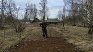 Пчеловодство. Медоносная база. Посадка фацелии от А до Я! #пчеловодство #фацелия #пчёлы  #медоносы