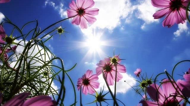 Лёгкая, позитивная музыка смотреть онлайн