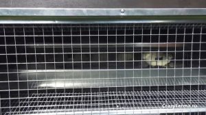 Автономный птичник 4 сезона