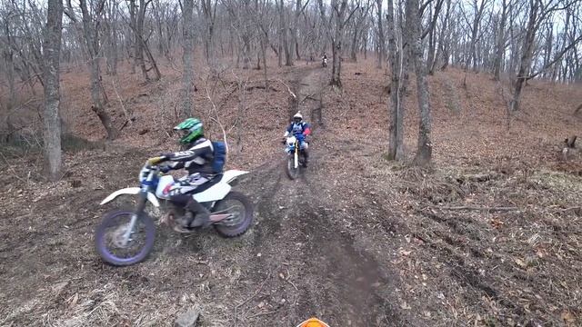 Regulmoto CROSSTREC 300 | 2023 | ТЕСТ-ДРАЙВ по лесу смотреть онлайн