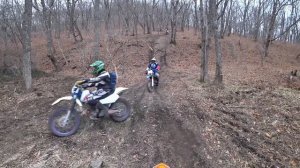 Regulmoto CROSSTREC 300 | 2023 | ТЕСТ-ДРАЙВ по лесу