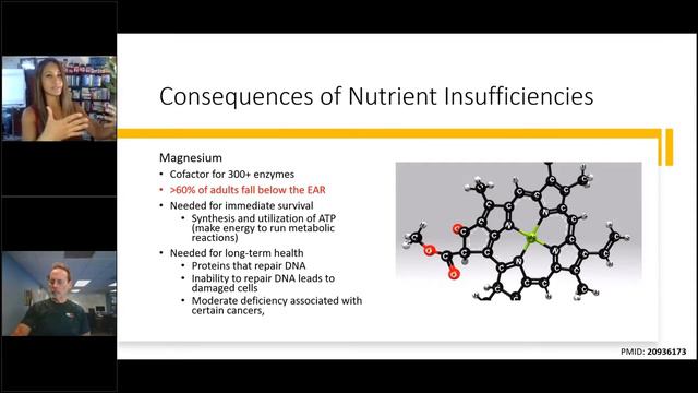 Eat for Your Micros, How Important are Micronutrients смотреть онлайн
