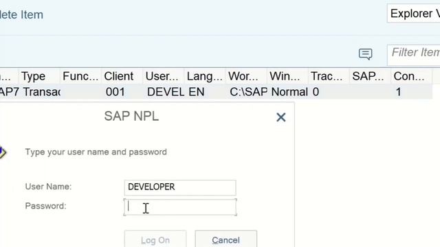 SAP GUI - Quicker Login with Shortcuts - in GUI and Windows Desktop [english] смотреть онлайн