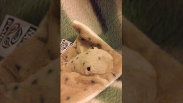 Open kids - stop people cover смотреть онлайн