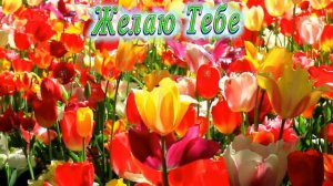 С Днём Рождения Ника