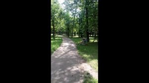 Приставка к гироскутеру. Тест драйв.