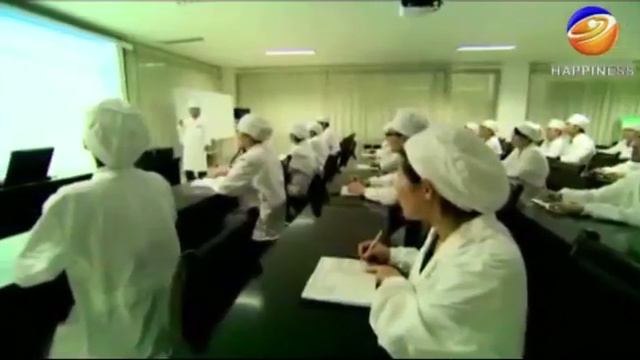 О компании Happiness (Хэппинэсс)