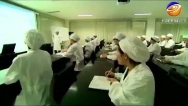 О компании Happiness (Хэппинэсс)