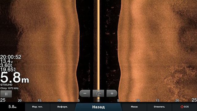 Garmine GT56    Деревца на дне.......три крупных рыбы попали в кадр.......