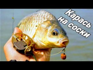 Рыбалка на соски,обзор нового ножа-"ЯКУТ"! Карась на соски! Рыбалка на карася!