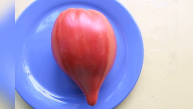 ТОМАТЫ. Самые лучшие сердцевидные сорта томатов. 16 вкусных урожайных сортов. смотреть онлайн