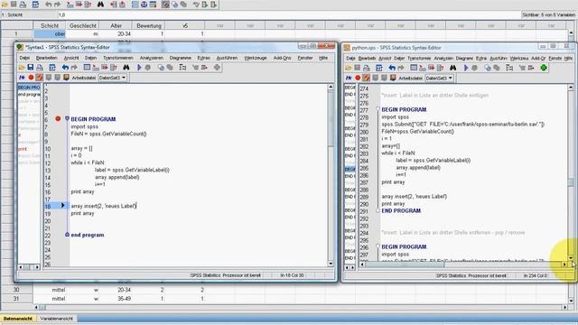 SPSS Video-Seminar # Teil 70 Python 6 смотреть онлайн