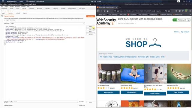 Blind SQL injection with conditional errors (Video solution, Audio) смотреть онлайн