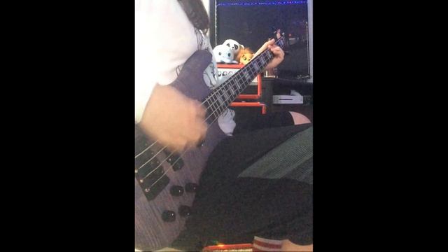 Metallica - Don't Tread On Me Bass Cover смотреть онлайн