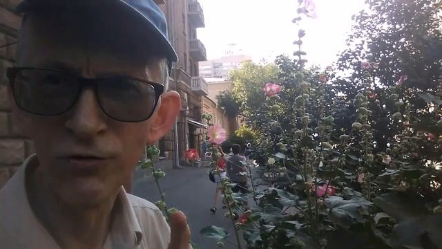 Вкусное Приключение