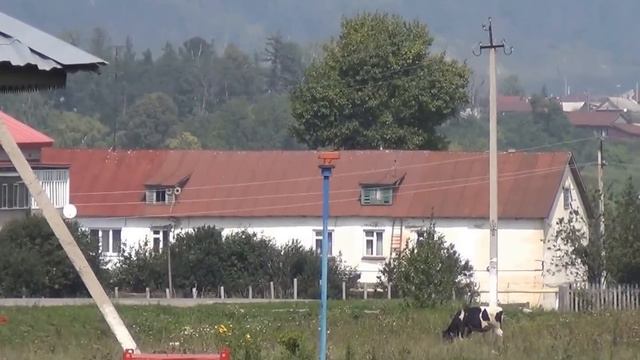 Усадьба Языково смотреть онлайн