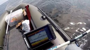 Ловля СОМА на КВОК 2021, Эхолот лоуренс ФС для ловли сома на квок, Lowrance Elite FS 9, Сом, CatFis