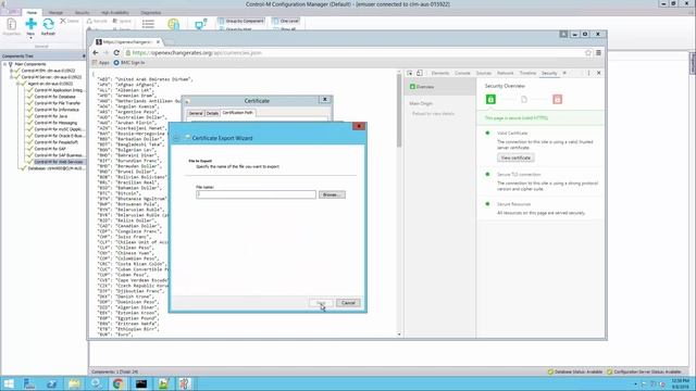 How to connect to an https url using Control-M for Web Services смотреть онлайн