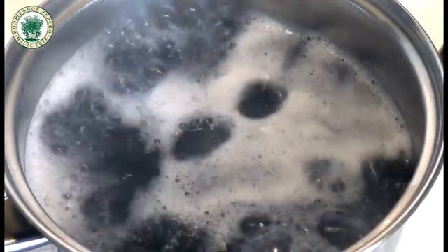 Лекции по Психологии и Личностному Развитию