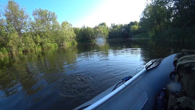 Поклевки на поппер Salmo Pop смотреть онлайн