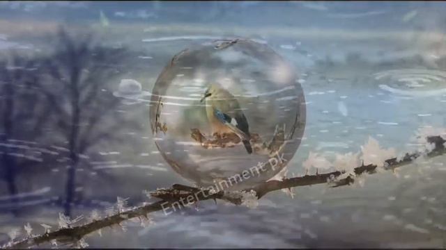 Sad Poetry Status |Emotional Sad Shayari | Urdu Shayari Status | whatasApp Status| Poetry Status смотреть онлайн