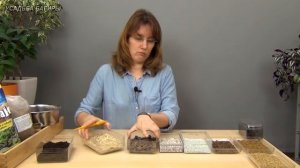 Грунт для бонсай