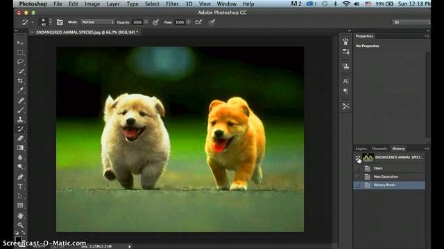 history brush tool смотреть онлайн