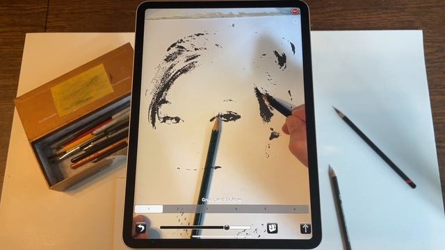Camera Lucida Introduction 2021 смотреть онлайн