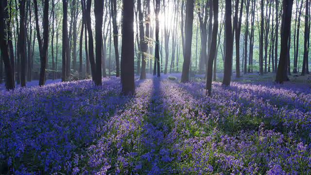 Fabrizio Paterlini - Autumn Stories Week #8