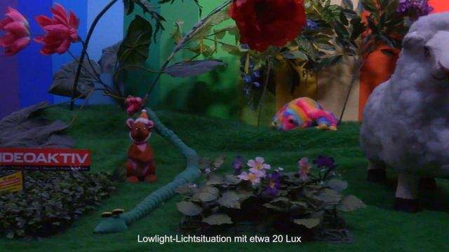 Testvideo: Canon XA40 смотреть онлайн