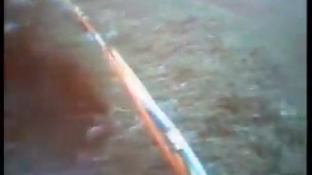 Wobbegong Shark attacks Diver смотреть онлайн