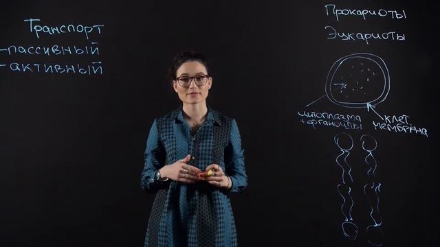 БИОЛОГИЯ 10 класс: Клеточная мембрана смотреть онлайн