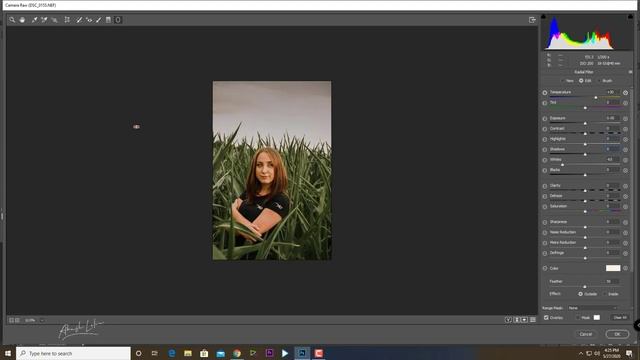 Vintage film look | Free Presets | Photoshop Tutorial | Camera Raw Filter смотреть онлайн