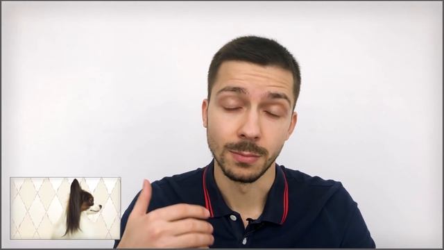 Веселый ЮКИ играет в компьютерную игру / СОБАКА папильон показывает ИГРЫ для животных смотреть онлайн