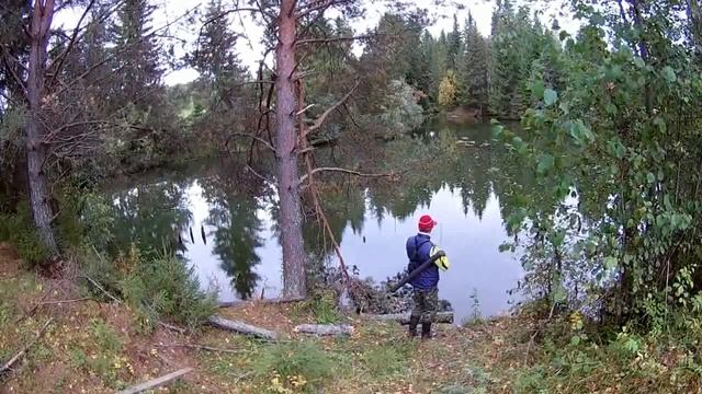 Лесной пруд,окунь и щурята смотреть онлайн