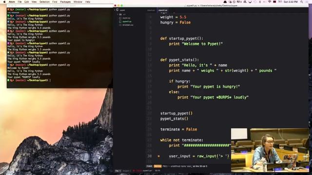 Build your own python pet! смотреть онлайн