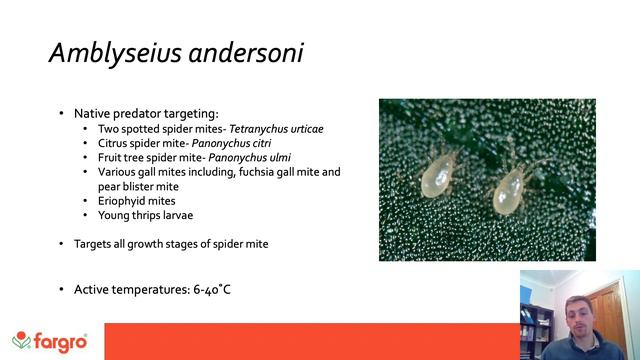 Controlling Spider Mites With The Use of Biologicals смотреть онлайн